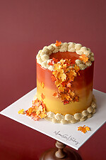 Maple - Image 3